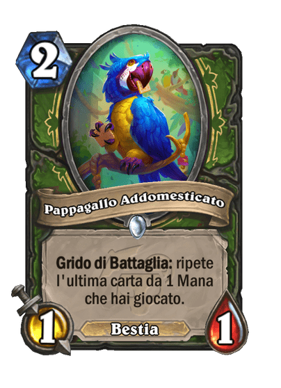 Pappagallo Addomesticato