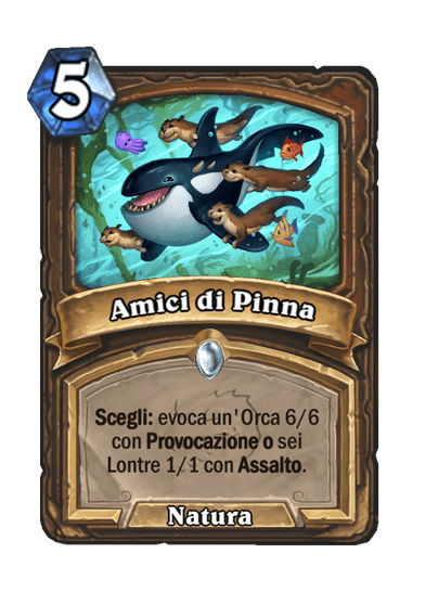 Amici di Pinna (Principale)