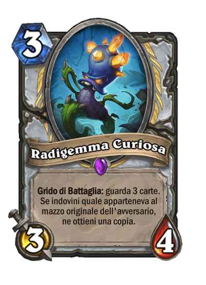Radigemma Curiosa