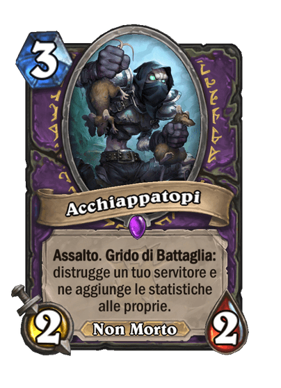 Acchiappatopi